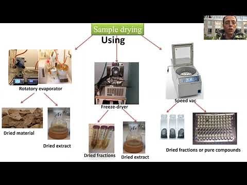 Extraction, isolation, purification and structure elucidation for drug discovery