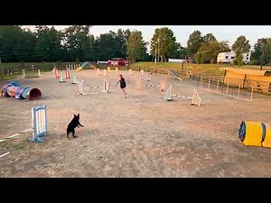 Dog Agility Training with Distance and Layering. Course design by Zsuzsa Veres.