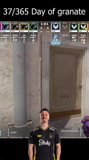 37/365 day of granate; apEX. #cs #cs2 #apEX #Vitality #inferno