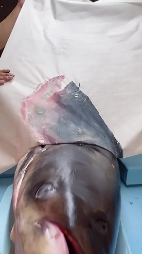 Exploring Chinese Traditional Art Through Monotype Printing