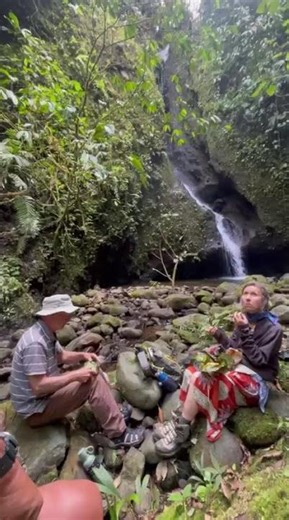 Ecuador’s Hidden Gem 💚 Sumaco Bajo Adventures #wildlifephotography #ecotourism