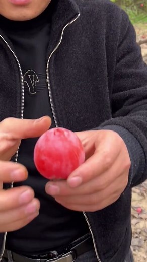 How to Prepare a Shiny Red Apple for Tasting