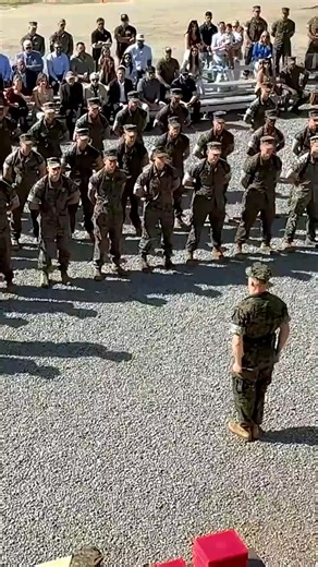 Mastering the Military Push-Up