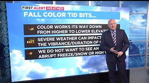 Science behind the annual fall color show in Colorado