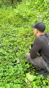 That memory is impressive | Dad Jokes