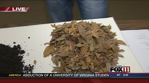 Leaf collection and compost process in Appleton