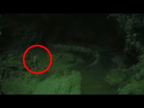 Most UNBELIEVABLE Videos You Will Ever See!