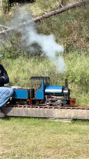 THE MOST REALISTIC MODEL RAILWAY RUN YOU WILL SEE! 🛤️👀 #MiniatureRailway #SteamLocomotive
