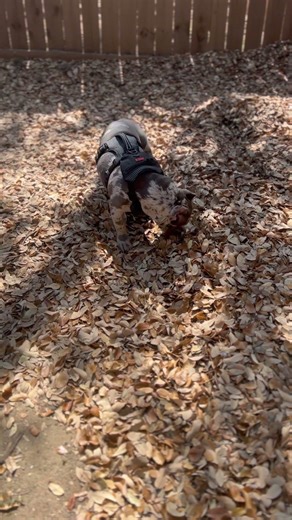 What is Kodak looking for ? Let me know 👇🏽