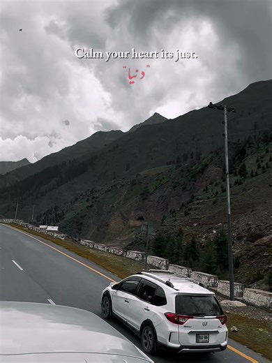 🌸✨#pakistan #pakistantourismgateway #fyp #fypシ゚ #trending #reels #naran#viral #CapCut