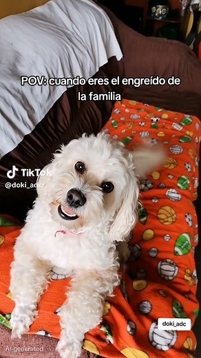 Mi perro hablando: POV cuando eres el engreído de la familia