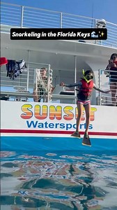 Snorkeling in the Florida Keys & Swimming With a Sea Turtle! 🐢🌊