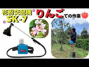 花粉交配機ラブタッチ「SK-7」リンゴ作業風景
