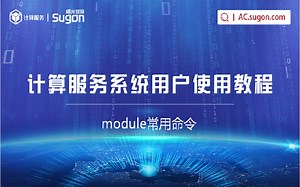 10_计算服务平台用户使用教程_module常用命令