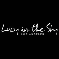 LUCY IN THE SKY INC | LinkedIn