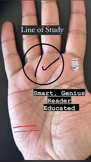 Asad Raza (AR Palmist Numerologist) | Palmistry | The line of study and smartness #reels #best #videos #instagood | Instagram