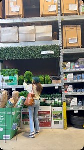 1.5M views · 8.3K reactions | Calling all dogmoms  the topiary dog is back! Outdoor decor, home, dogmom, patio season #patioseason #topiary #patiodecor #petlovers | Nikki Mansch | Facebook