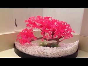 How to Clean a Plastic Fish Tank Without Scratching It!
