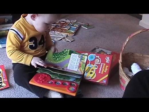 Your Baby Can Read Starter