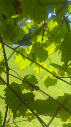 694K views · 33K reactions | I really enjoyed my Labor Day...