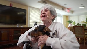 361 reactions · 91 shares | Seniors and puppies, is there a more perfect combination? | Five Star Senior Living | Facebook