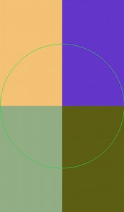 Ndlovu Youth Choir brings their music to the masses