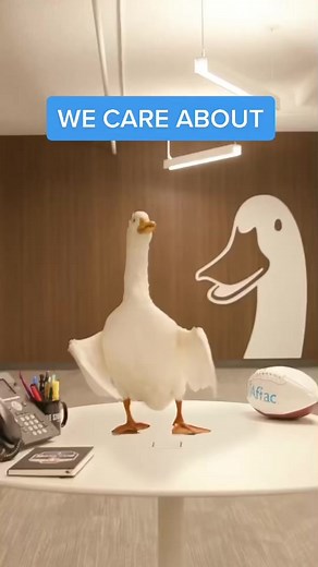 @Alaska Airlines, consider this my official application to the Care Coalition. #AlaskaAirCAREoke