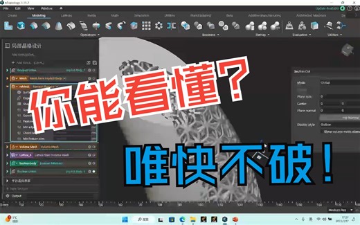 nTopology不规则体局部晶格结构（多孔结构）设计快进版