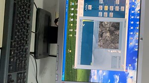 SEM和EDS测试记录