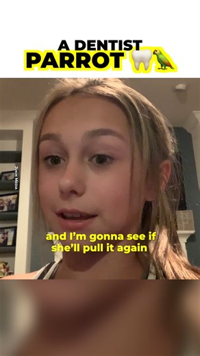 31K views · 540 reactions | This girl didn’t know her parrot was a dentist, she showed him her loose tooth and the bird pulled and took it off in an instant. | The Kiwi | Facebook