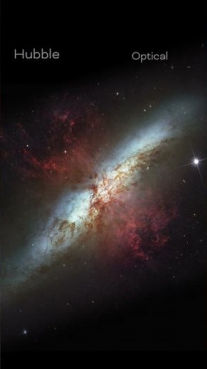NASA’s Stunning Multiwavelength View of the Cigar Galaxy (M82) | Starburst Galaxy in Motion 🌌