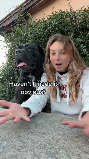 Want me to spell it out for you?! #canecorso #canecorsoitaliano #foryou #notfriendly #viral #dog #dogsoftiktok