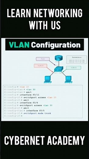 Cisco Switches VLAN Configuration Step-by-Step VLAN Configuration in Real Network | CCNA Lab Setup