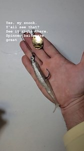 15K views · 116 reactions | Do you use spinnerbaits? They are great to use in the fall because of the vibration and flash. But tying them correctly is important for the correct presentation. You'll want to use a clinch or cinch knot instead of a loop knot so your line does not move freely. What's your favorite lure to put on a spinnerbait? #saltstrong #saltwaterfishing #spinnerbait #redfishlure #snooklure #fishinglure #fishingtackle #fishingtips | Salt Strong | Facebook