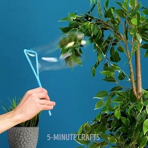 5-Minute Crafts | Don’t throw it away! Useful ideas for reusing your garbage. #5minutecrafts #5mincrafts #DIY #craft #crafts #recycle | Instagram