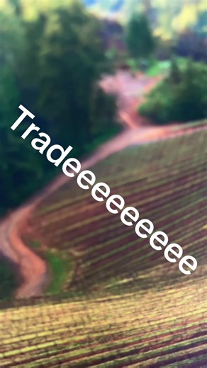 Explore Trading on Snapchat: Tips and Tricks