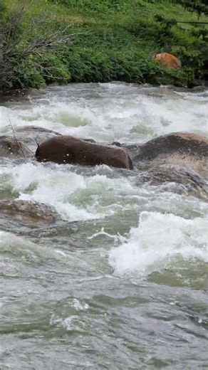 Mountain rivers. Eternal Love - Water and Stone. #Shorts