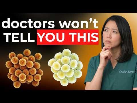 7 Foods to Eat Every Day to DESTROY Visceral Fat (Scientific Proof) | Dr. Leana Explains