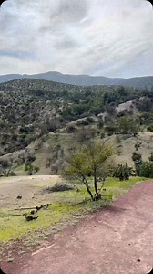 15K views · 84 reactions | Para para para … Las @termasjahuel están...