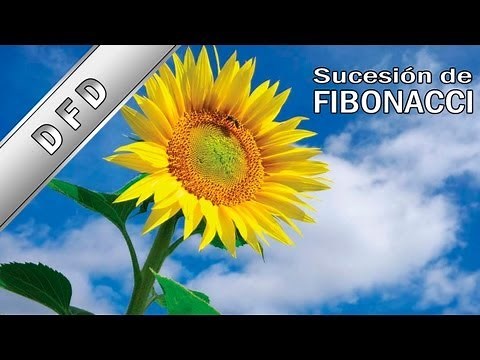 ⭐⭐⭐⭐⭐ La SORPRENDENTE serie FIBONACCI - Tutorial de DFD - ciclo mientras
