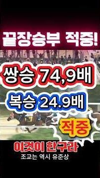 6/26일 끝장 승부경주 적중! 대박! 행진! #경마 #경마방송 #경마실시간