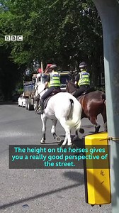 38K views · 311 reactions | Research shows people are six times more likely to approach a mounted police officer. (via BBC Inside Out Yorkshire and Lincolnshire) | BBC Yorkshire | Facebook