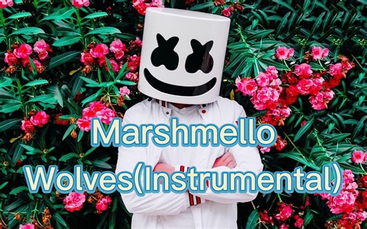 【伴奏】Marshmello-Wolves(Instrumental)(字幕版)