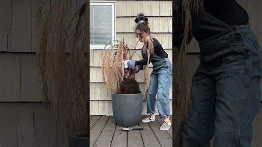 One day deck makeover: Here’s how I did it!