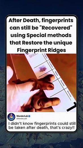 Experts Restore Fingerprints for Identification!!