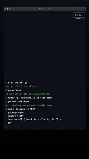 Install Go on Mac in 30 Seconds #shorts