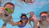 Medium shot four kids swimming underwater, smiling, and waving at...