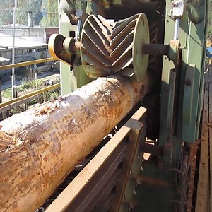 Amazing Automatic Wood Sawmill Machines Modern Technology, Extreme Fast Wood Cutting Machine | Giant Machine