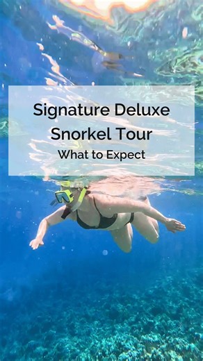 Embark on the ultimate Maui adventure with our Signature Deluxe Snorkel tour! Begin your day with a leisurely cruise aboard our 65-foot luxury catamaran to Molokini Crater, renowned as the top snorkeling destination in Maui. Here, you’ll be treated to the clearest water in Hawaii, teeming with over 250 species of fish. Experience the pristine reef and marine life of Molokini away from the crowds, thanks to our exclusive South Maui location and carefully timed tours. After exploring the wonders o