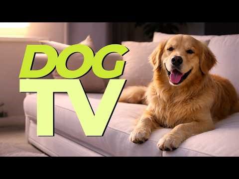 Dog TV | Videos for Dogs to Watch | Dog Entertainment & Nature Scenes
